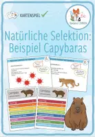 Vorschau - Spiele - Natürliche Selektion (Capybara) - Kartenspiel - Deckblatt