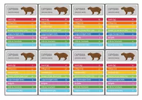 Vorschau - Spiele - Natürliche Selektion (Capybara) - Kartenspiel - Seite 3