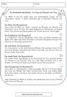 Vorschau - Merkblätter - Stockwerke des Waldes - Informationstexte (2fach differenziert) - Seite 2