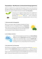 Vorschau - Arbeitsblätter - Fotosynthese Infotext und Aufgaben für die 6. und 7. Klasse - Seite 3