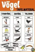 Vorschau - Poster - Tafelmaterial - Vögel im Winter - Deckblatt
