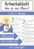 Vorschau - Arbeitsblätter - Was ist eine Pflanze Arbeitsblatt 1. & 2.Klasse Pflanzenmerkmale Arbeitsblatt mit Lösungen - Deckblatt