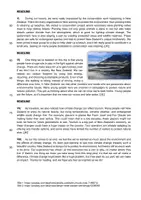 Vorschau - Arbeitsblätter - FOCUS ON TEXTS: 10. Klasse - Kia Ora, New Zealand! - Seite 3
