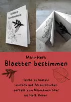 Vorschau - Mal- und Bastelvorlagen - Mini-Heft Blätter bestimmen - Deckblatt