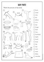 anteprima - Esercizi - Body parts vocabulary activity (inglese) - Pagina 1