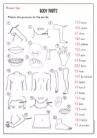 anteprima - Esercizi - Body parts vocabulary activity (inglese) - Pagina 2