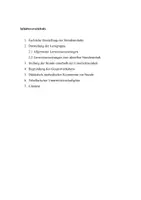 Vorschau - Stundenentwürfe - Unterrichtsentwurf (große UV) Entdeckerpäckchen/schöne Päckchen - Deckblatt