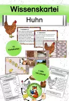 Vorschau - Arbeitsblätter - Wissenskartei Huhn mit Arbeitsblättern - Deckblatt