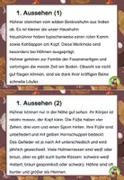 Vorschau - Arbeitsblätter - Wissenskartei Huhn mit Arbeitsblättern - Seite 1