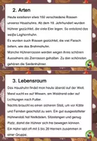 Vorschau - Arbeitsblätter - Wissenskartei Huhn mit Arbeitsblättern - Seite 3