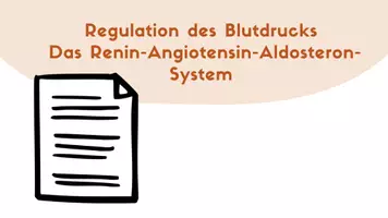 Vorschau - Arbeitsblätter - RAAS - Renin-Angiotensin-Aldosteron-System - Seite 1