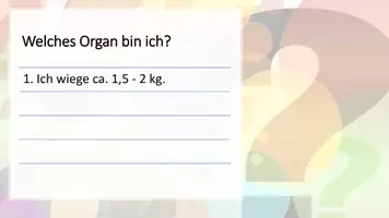 Vorschau - Spiele - Spiel zur Leber_Welches Organ bin ich? - Seite 2