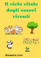 anteprima - Altro tipo di materiale - Il ciclo della vita - Pagina di copertina
