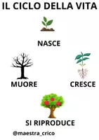 anteprima - Altro tipo di materiale - Il ciclo della vita - Pagina 1
