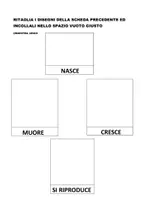 anteprima - Altro tipo di materiale - Il ciclo della vita - Pagina 2