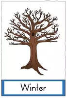 Vorschau - Präsentationen/Tafelbilder - Jahreszeiten Tafelmaterial - Seite 2