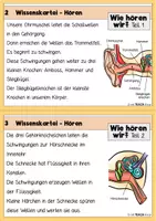Vorschau - Arbeitsblätter - Sparpaket - Alle Wissenskarteien zum Körper - Seite 3