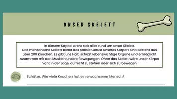 Vorschau - Stundenentwürfe - Stundenentwurf Einstieg Knochen inkl Lösungen - Teil 1 - Knochen & Muskeln - Biologie - Seite 2