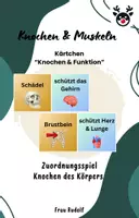 Vorschau - Spiele - Zuordnungsspiel Knochen - Anatomie Biologie - Deckblatt