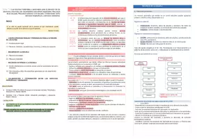 Vista previa - Para docentes: organización, planificación y formación - Oposiciones PT (todas las comunidades): Esquema tema 7 - página 1