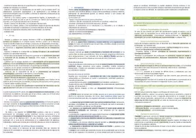 Vista previa - Para docentes: organización, planificación y formación - Oposiciones PT (todas las comunidades): Esquema tema 7 - página 2