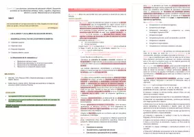 Vista previa - Para docentes: organización, planificación y formación - Oposiciones PT (todas las comunidades): Esquema tema 10 - página 1