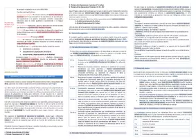 Vista previa - Para docentes: organización, planificación y formación - Oposiciones PT (todas las comunidades): Esquema tema 10 - página 2