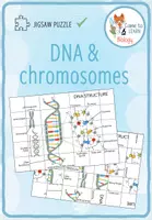 Vorschau - Arbeitsblätter - DNA and chromosomes - Jigsaw Puzzle - Deckblatt