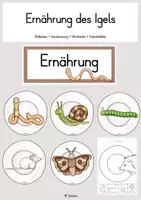 Vorschau - Arbeitsblätter - Ernährung des Igels - Deckblatt