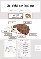 Vorschau - Arbeitsblätter - Materialpaket: der Igel - Seite 1