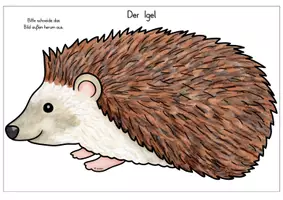 Vorschau - Arbeitsblätter - Der Igel: Körperteile - Seite 3