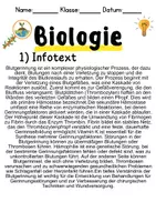 Vorschau - Unterrichtsreihen - Blutgerinnung Informationen und Arbeitsblätter - Seite 1