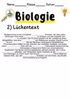 Vorschau - Unterrichtsreihen - Blutgerinnung Informationen und Arbeitsblätter - Seite 2