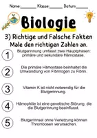 Vorschau - Unterrichtsreihen - Blutgerinnung Informationen und Arbeitsblätter - Seite 3