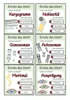 Vorschau - Spiele - Genetik - Errate das Wort-Spiel - Seite 2