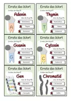 Vorschau - Spiele - Genetik - Errate das Wort-Spiel - Seite 3