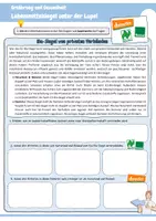 Vorschau - Arbeitsblätter - Lebensmittelsiegel unter der Lupe! (EU-Bio-Siegel, deutsches Bio-Siegel, Demeter, Naturland, Bioland, V-Labels, Fairtrade, Nutri-Score) - Seite 2