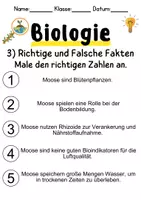 Vorschau - Unterrichtsreihen - Mooskunde Informationen und Arbeitsblätter - Seite 3