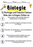 Vorschau - Unterrichtsreihen - Mykologie (Pilzkunde) Informationen und Arbeitsblätter - Seite 3