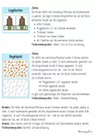 Vorschau - Stundenentwürfe - Mathe im Kindergarten: Samichlaus / Nikolaus - Seite 3