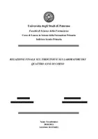 anteprima - Materiale di supporto/inclusione - Tesi tirocinio Scienze della Formazione Primaria - Pagina 1