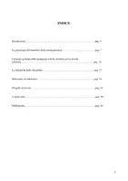 anteprima - Materiale di supporto/inclusione - Tesi tirocinio Scienze della Formazione Primaria - Pagina 2