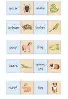 Vorschau - Spiele - Merk es dir! Englisch pets - Seite 2