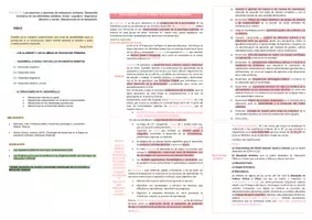 Vista previa - Para docentes: organización, planificación y formación - Oposiciones PT (todas las comunidades): Esquema tema 12 - página 2