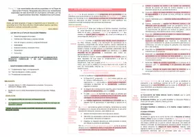 Vista previa - Para docentes: organización, planificación y formación - Oposiciones PT (todas las comunidades): Esquema tema 13 - página 1