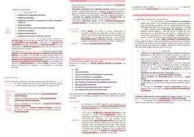 Vista previa - Para docentes: organización, planificación y formación - Oposiciones PT (todas las comunidades): Esquema tema 13 - página 2