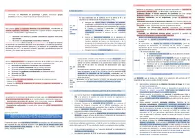 Vista previa - Para docentes: organización, planificación y formación - Oposiciones PT (todas las comunidades): Esquema tema 13 - página 3