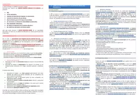 Vista previa - Para docentes: organización, planificación y formación - Oposiciones PT (todas las comunidades): Esquema tema 16 - página 2