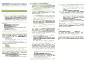 Vista previa - Para docentes: organización, planificación y formación - Oposiciones PT (todas las comunidades): Esquema tema 16 - página 3