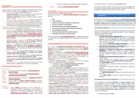 Vista previa - Para docentes: organización, planificación y formación - Oposiciones PT (todas las comunidades): Esquema tema 20 - página 2